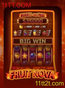 Explorando o Universo do Jogo 'FruitNova'
